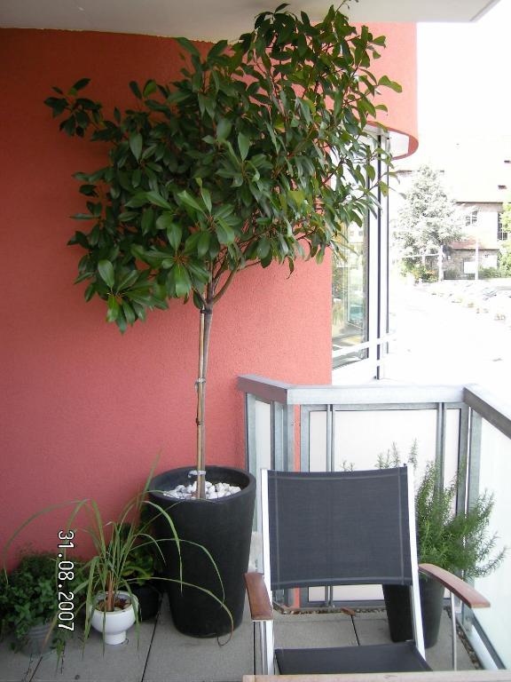 Appartement Am Salamanderpark Kornwestheim Luaran gambar